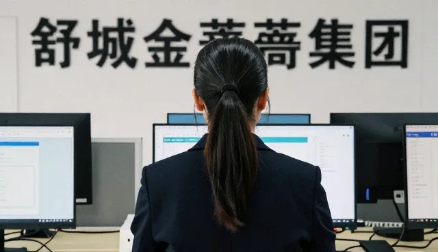 软件使用与维护的常见问题及应对策略